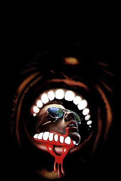 Don't Go in the Woods