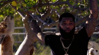 Animal Love Animal Love