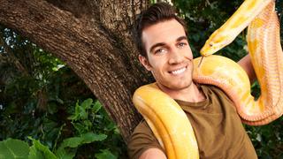 Croc's lower jaw destroyed after being hit by a car Croc's lower jaw destroyed after being hit by a car