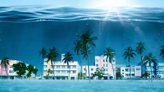 Miami Beach Underwater