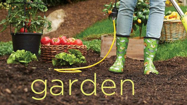 Gardening with Bernini