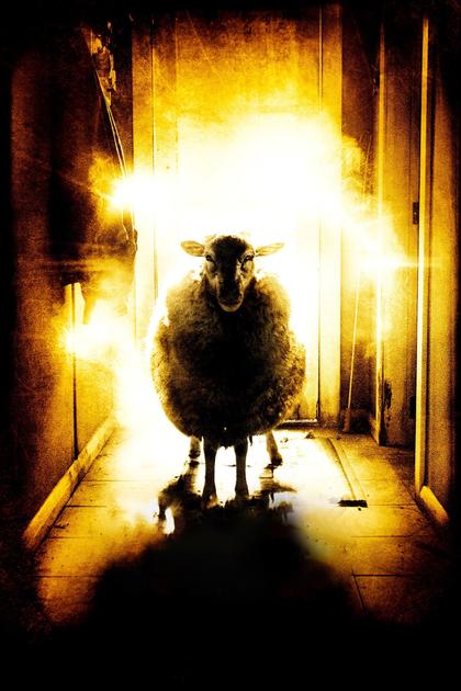 Black Sheep