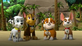 Pups Save the Jungle Penguins; Pups Save a Freighter Pups Save the Jungle Penguins; Pups Save a Freighter