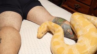 Prank You Very Much Prank You Very Much