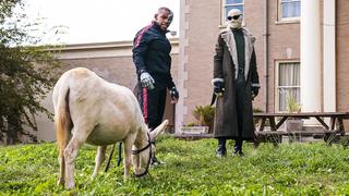 Donkey Patrol Donkey Patrol
