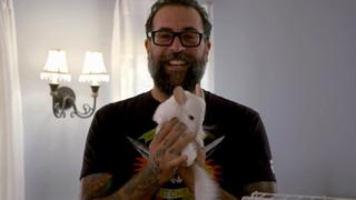 Chinchilla Chill Pad Chinchilla Chill Pad