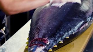 How to Butcher a Whole Tuna How to Butcher a Whole Tuna