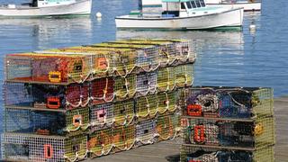 Lobster Fishing, Chesterfield Sofas and High-Definition Cameras Lobster Fishing, Chesterfield Sofas and High-Definition Cameras