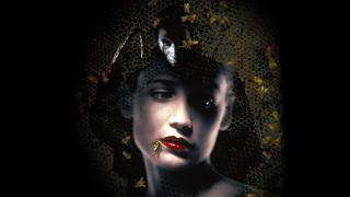 Candyman: Farewell to the Flesh