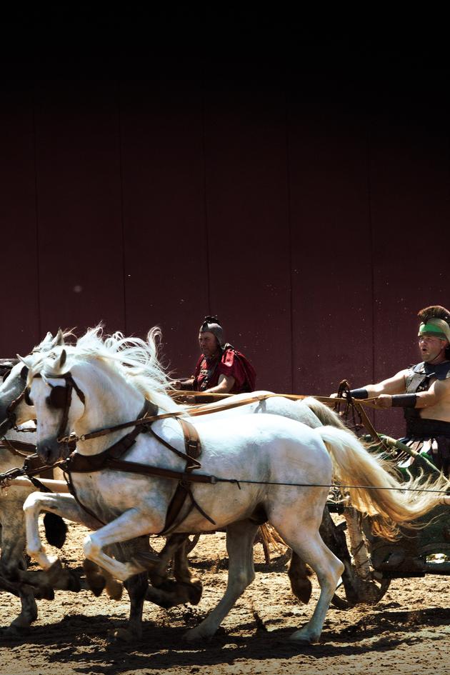 Rome's Chariot Superstar