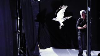 Smart Pups And Fish Baths