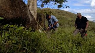 Lost Gold of World War II