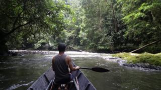 Don't Lose Your Head