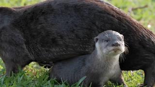 Black & White Black & White