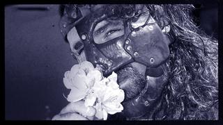 Dark Side of the Ring