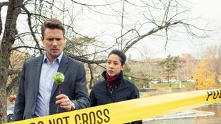 Pet Sitter Pet Sitter