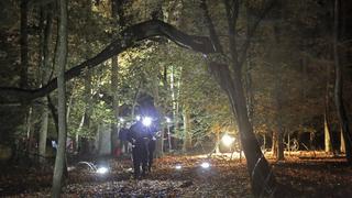 The Jersey Devil The Jersey Devil