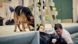 School Daze School Daze