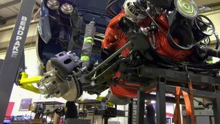 Amentini, Shaken Not Stirred