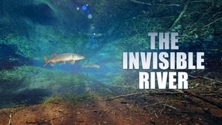 The Invisible River: Under Water Between the Black Forest and the Vosges