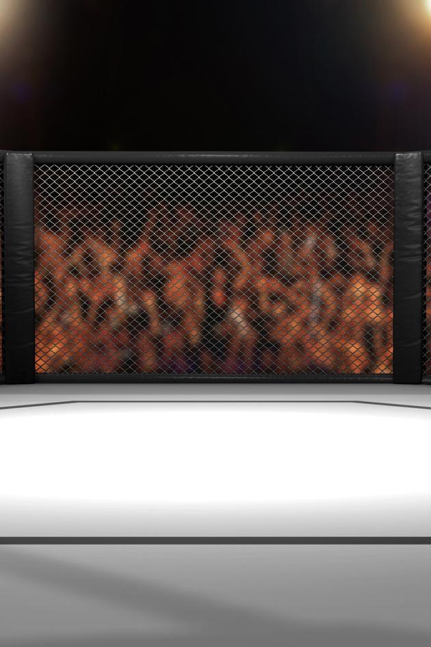 Lights Out Xtreme Fighting