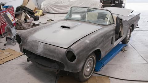 The T Bird