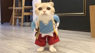 Pet Peeves Pet Peeves