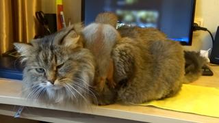 Under Construction Under Construction