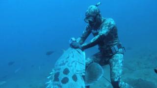 Scales and Fails Scales and Fails