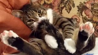 Its Raining Its Raining