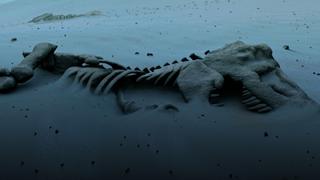 Recovering From Extinction Recovering From Extinction