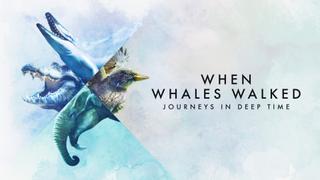 When Whales Walked: Journeys in Deep Time