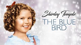 The Blue Bird