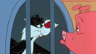 Dial V for Veterinarian