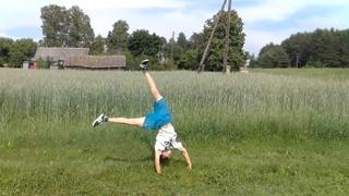 Party Animals Party Animals