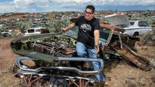 Much More Under the Pine Trees at Old Car City, U.S.A. Much More Under the Pine Trees at Old Car City, U.S.A.