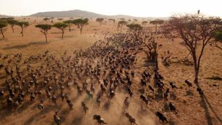 Invasion Invasion