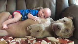 Baby's Best Friend