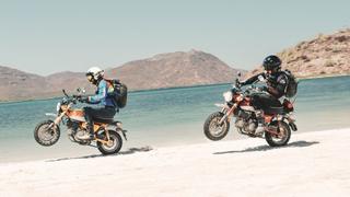 1,000 Miles in Baja on Honda Monkeys 1,000 Miles in Baja on Honda Monkeys