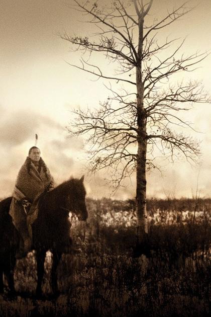 Bury My Heart at Wounded Knee