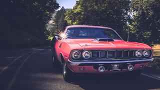 The Real Life of GYC The Real Life of GYC