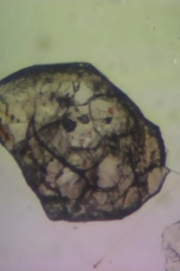 Voyage of the Continents