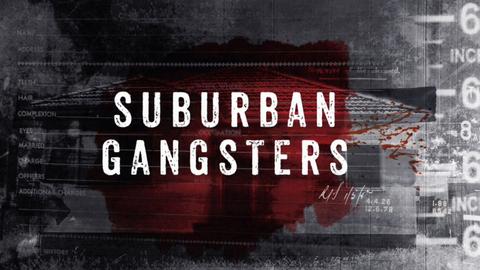 Suburban Gangsters