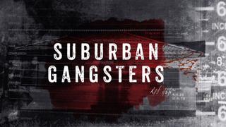 Suburban Gangsters
