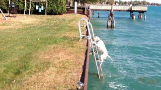 Say Cheese Say Cheese