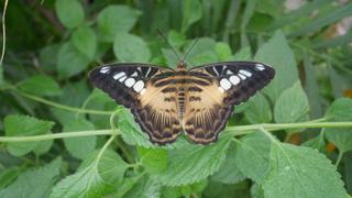 Secret Transformation