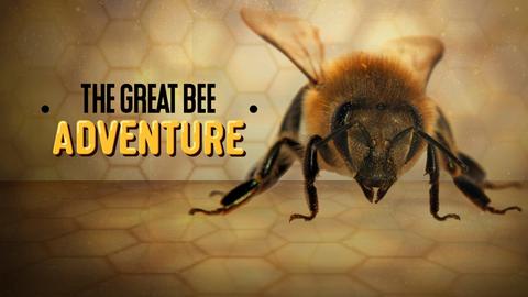 The Great Bee Adventure