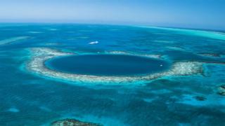 Curse of the Sea Monster Curse of the Sea Monster