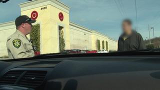 Prostitution Sting Prostitution Sting