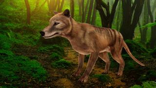 Resurrecting Tasmanian Tigers Resurrecting Tasmanian Tigers